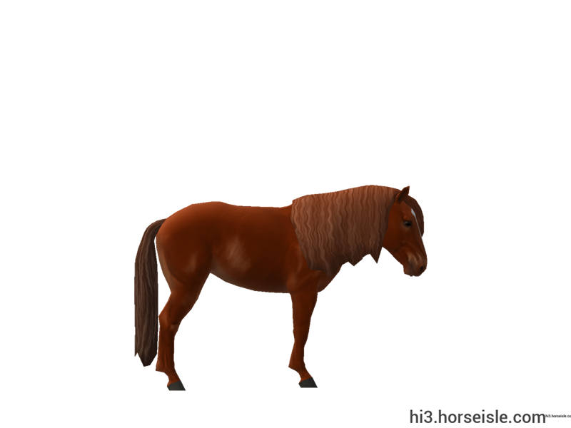 Sable Island Horse Red Chestnut Coat (right view)
